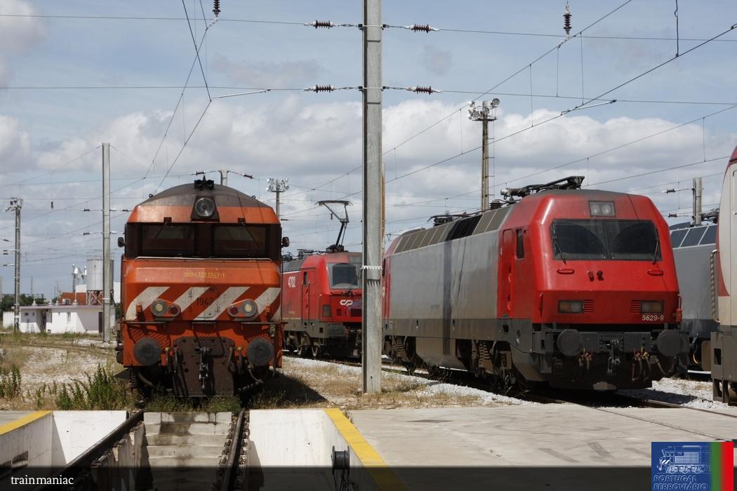 5629 no Entroncamento