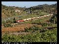 4703 (68980 Loulé - Petrogal Asfaltos) Alto da Sil